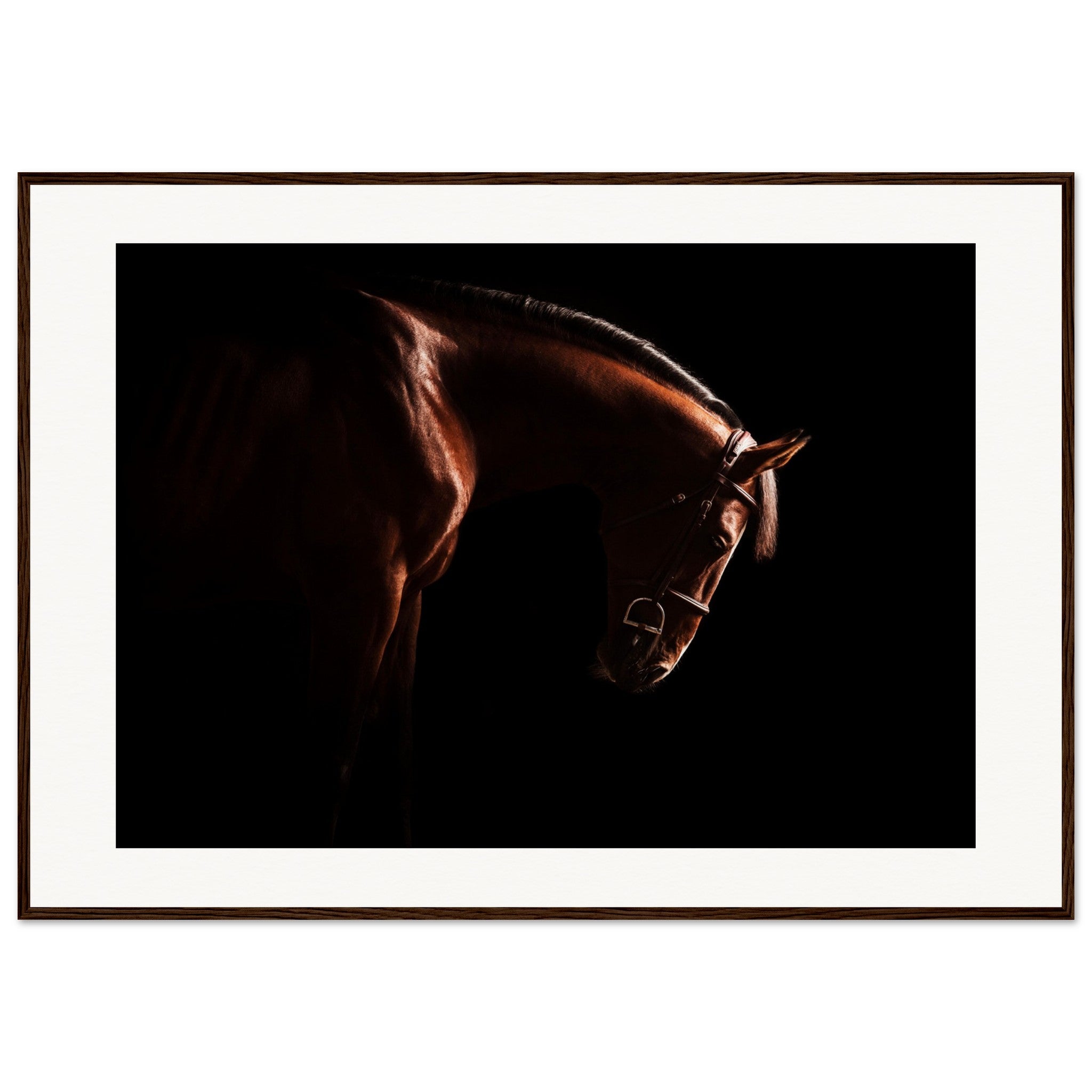 24783cd8-be94-4b03-b362-cc7553965f12