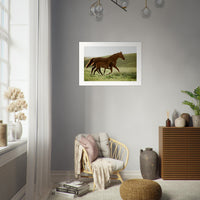 248e876a-6ba9-4f9c-86aa-2a702a456340