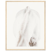 24a3e9dc-f7d8-48bc-b901-d63dd75d4d60