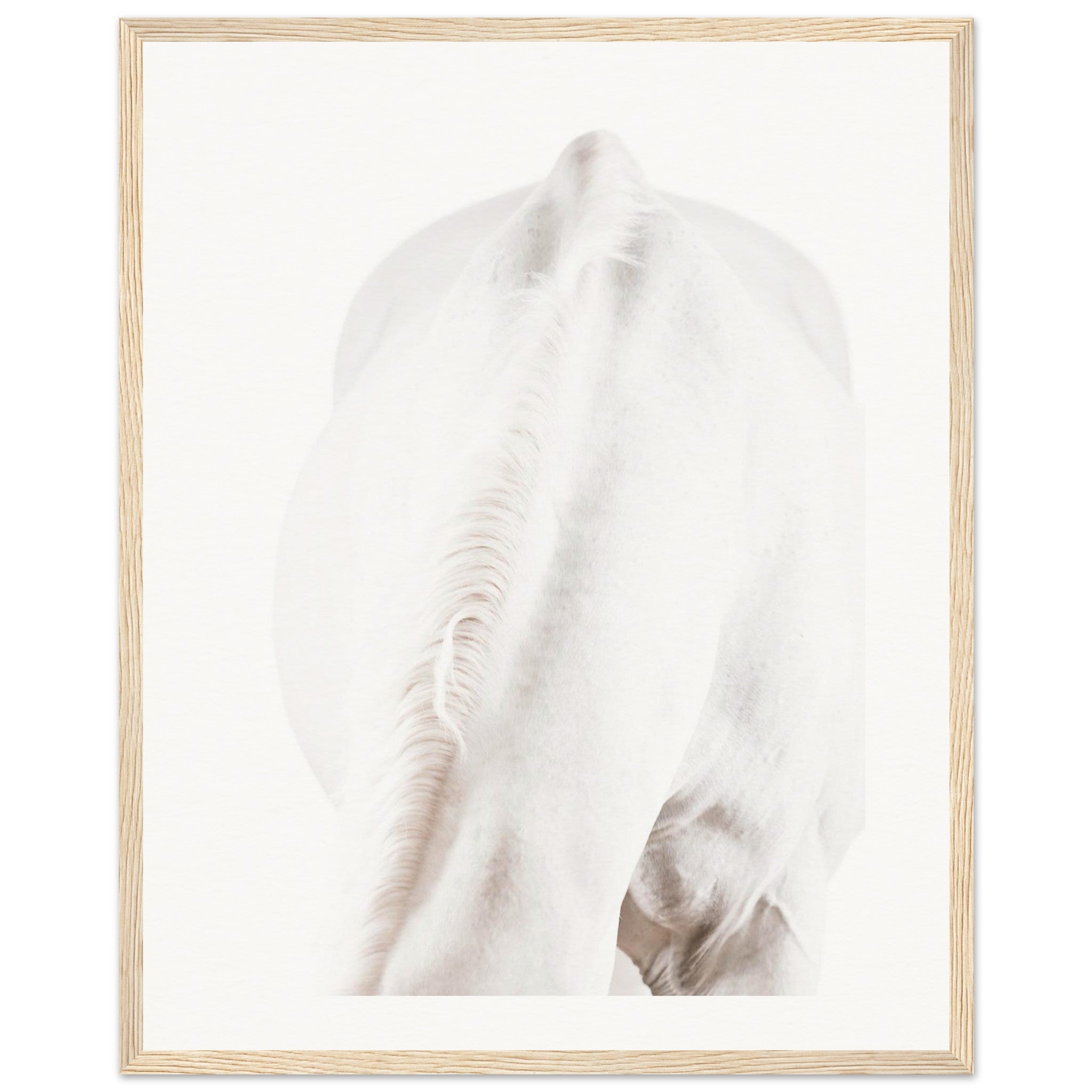 24a3e9dc-f7d8-48bc-b901-d63dd75d4d60