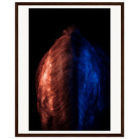 24a552cb-9c08-4d0b-9c58-017f6ac3eb9a