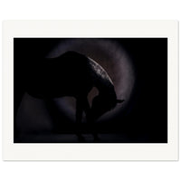 24a6021b-23b0-4396-acf8-25a30662eac4