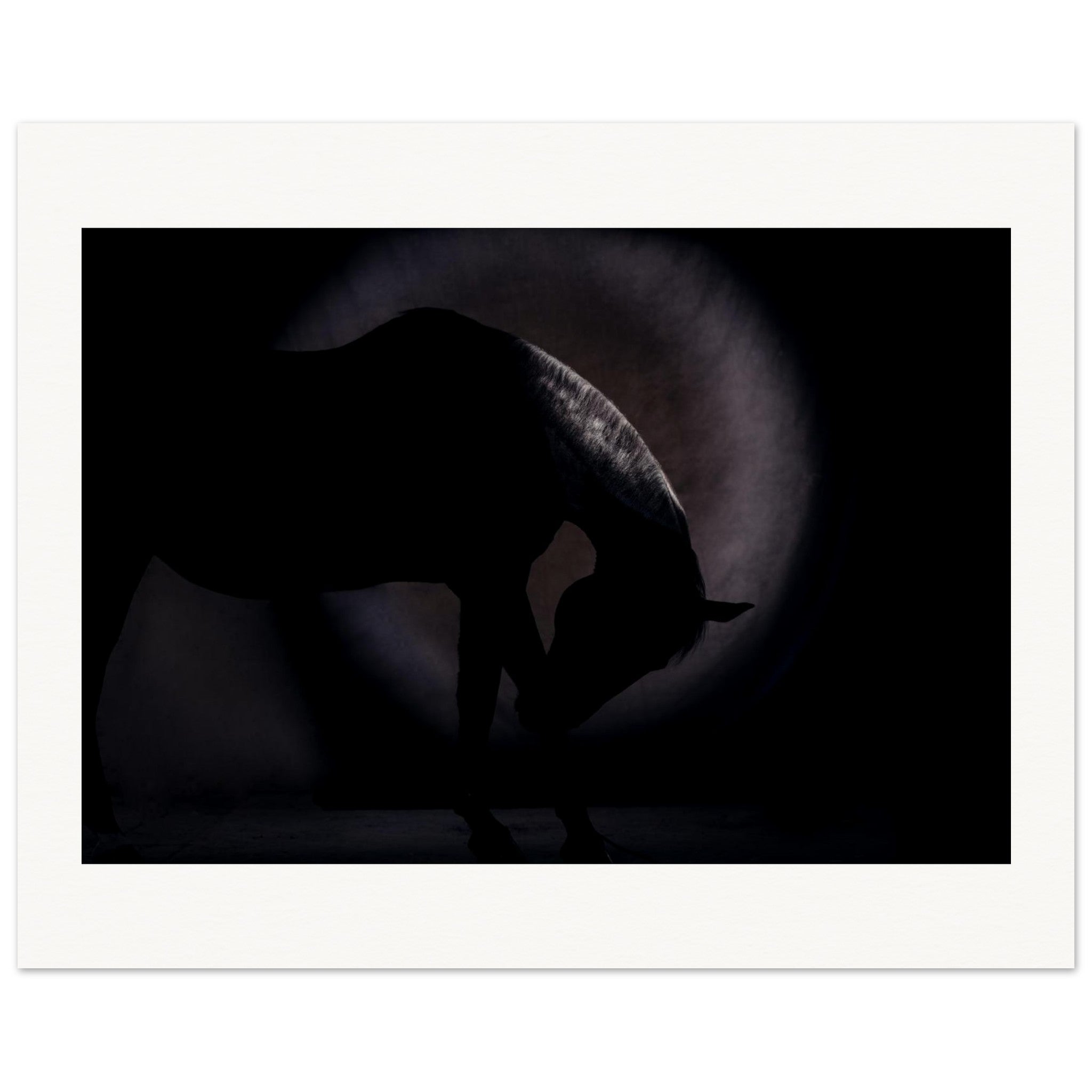 24a6021b-23b0-4396-acf8-25a30662eac4