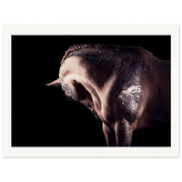 24b2f63c-6872-41ae-8675-f8369efb173f