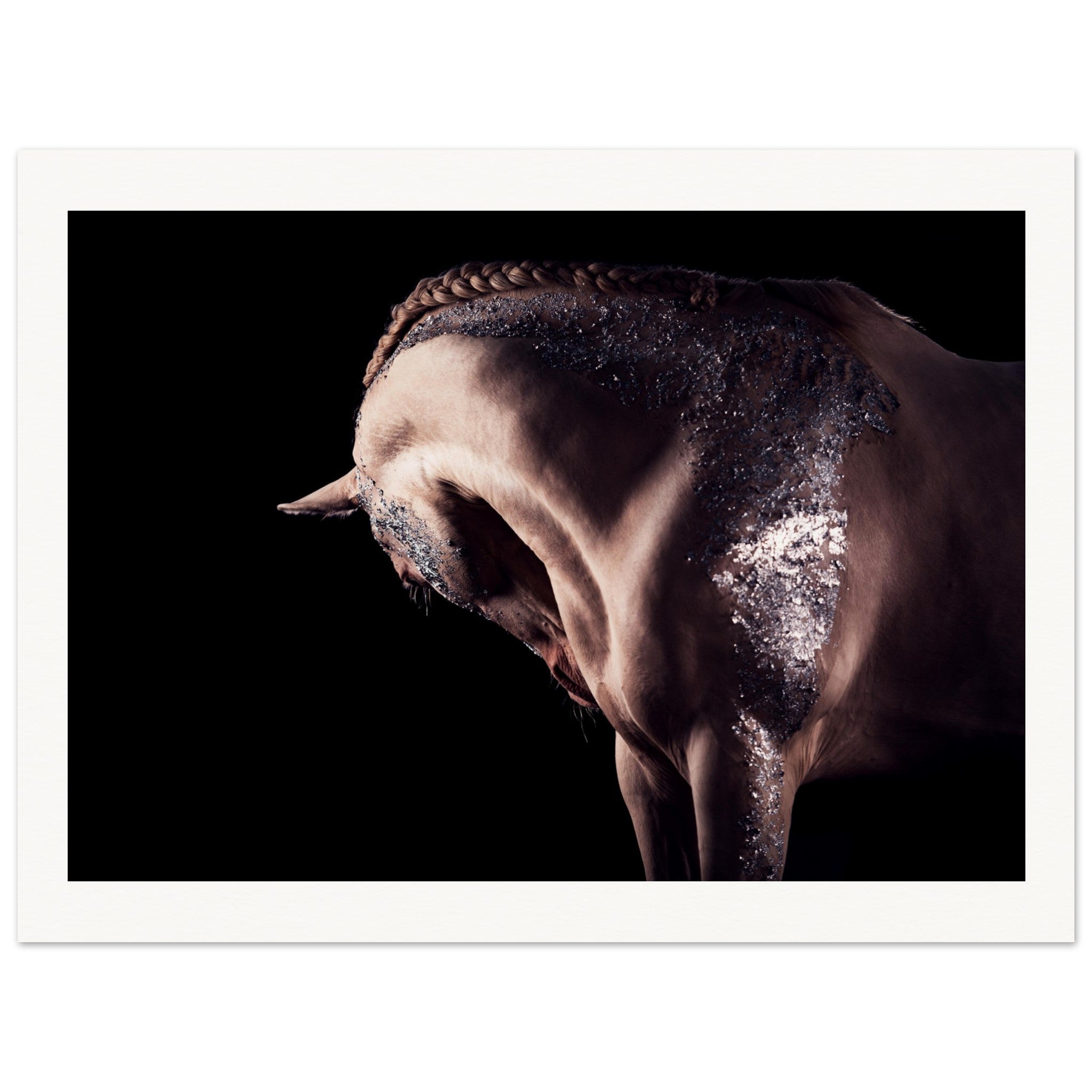 24b2f63c-6872-41ae-8675-f8369efb173f