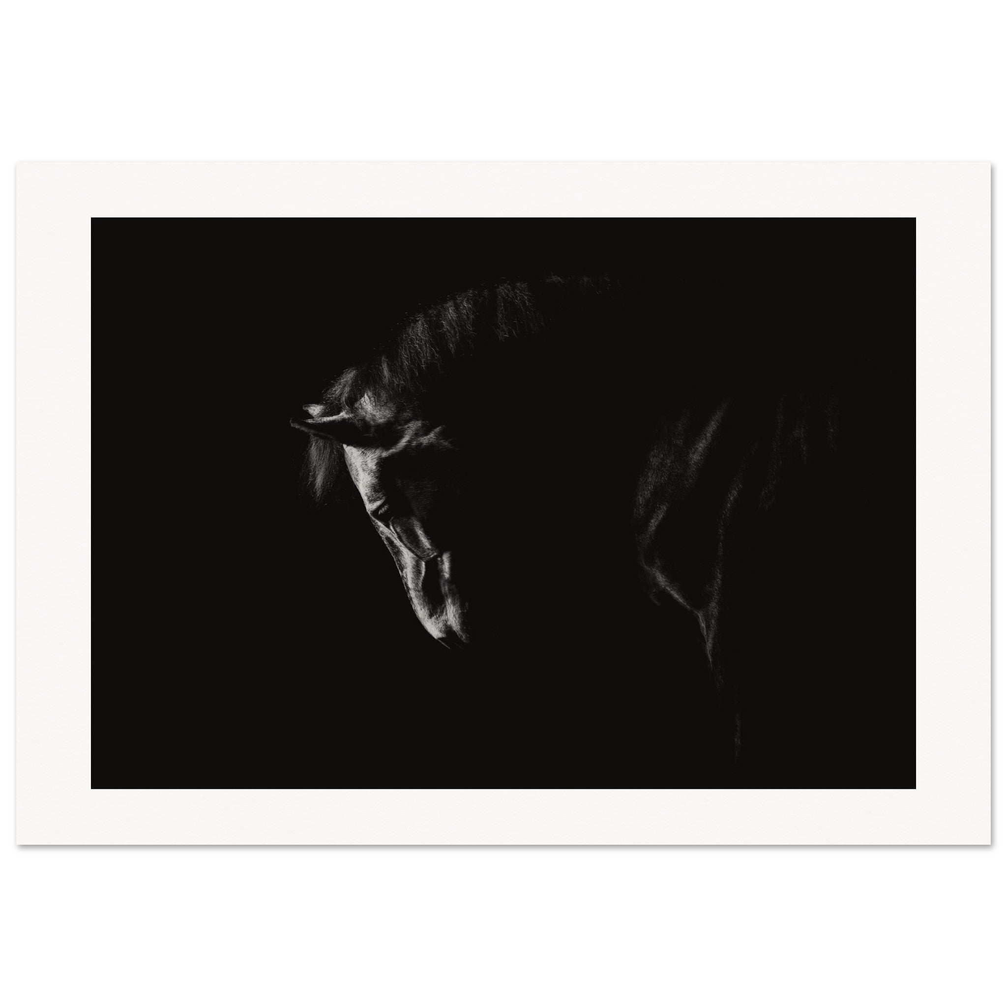 24b6e031-d859-4b58-9e16-f1a1120a6d00