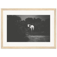 24cb8a35-1b0a-4772-9532-1f90754c1baa