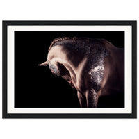 2518aaf9-f787-4ec4-9fa9-acba091cbe3f