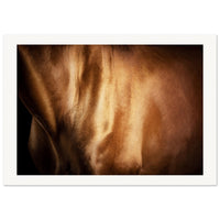 2519f3f9-a988-4b0e-b30f-adf70eab328e