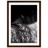 2539f797-ba82-4a80-8539-9067be550ee4