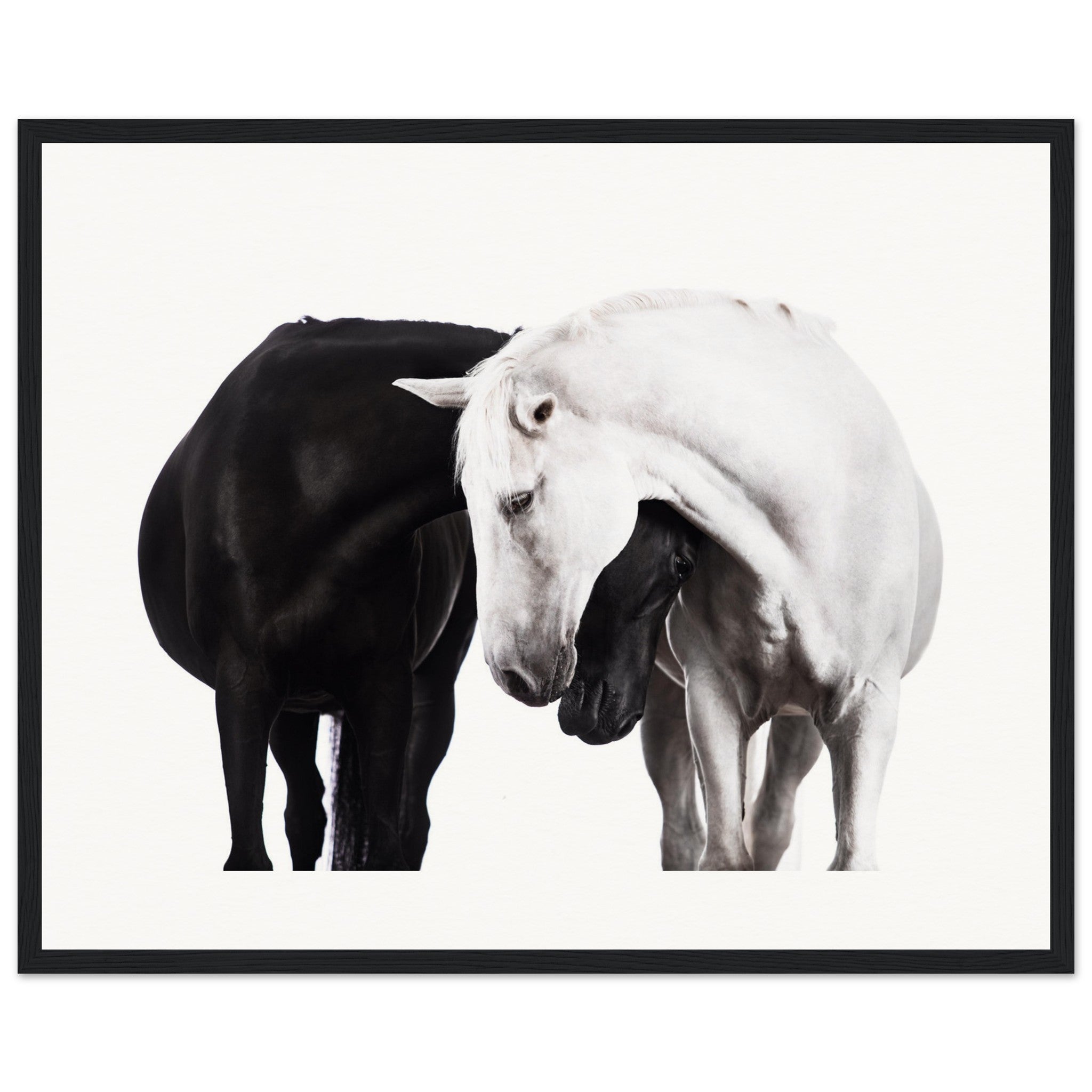 256d1608-bd38-4b24-b944-4ca90faf79c0