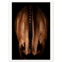 256d4d80-e4b6-402f-b837-5dc6b47f500d