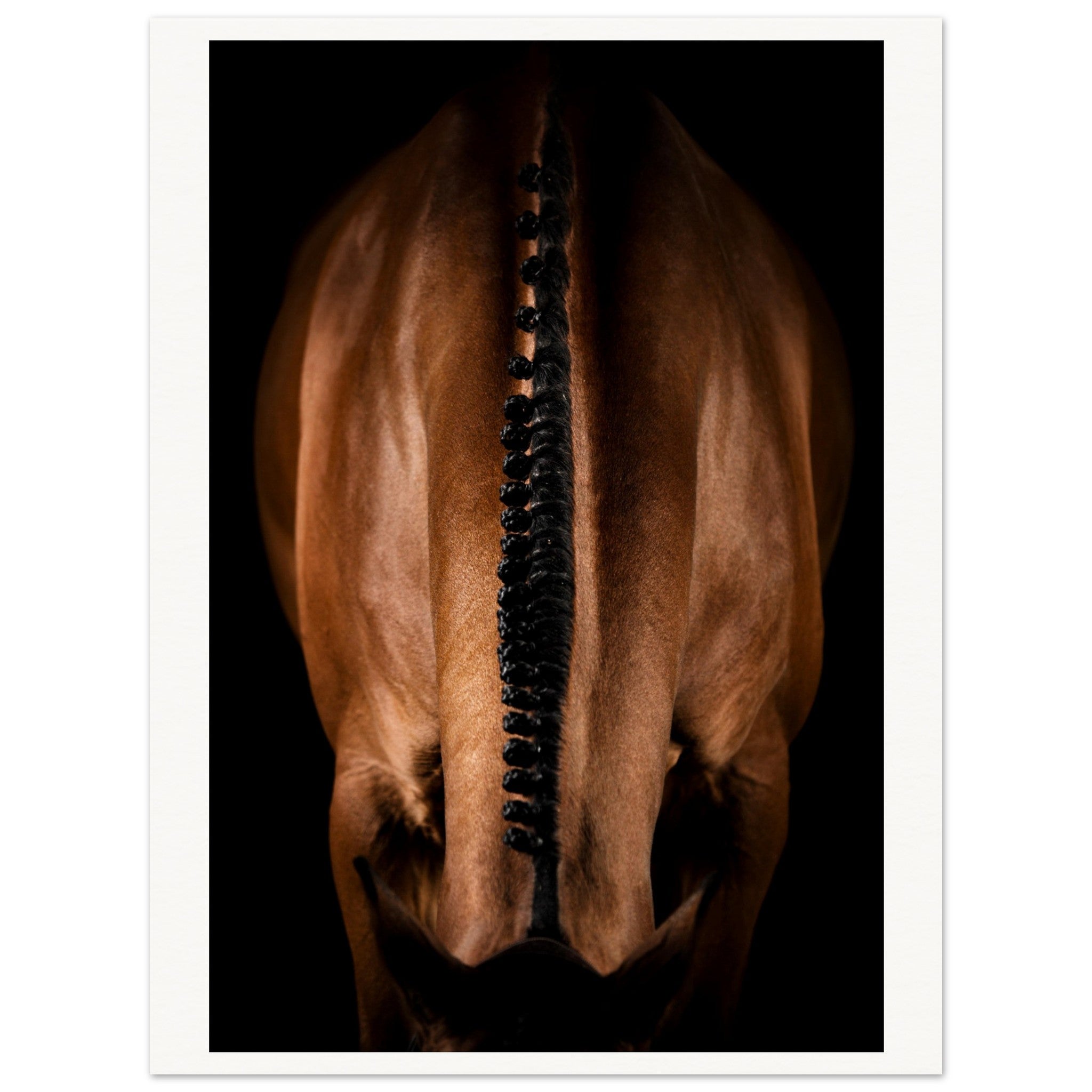 256d4d80-e4b6-402f-b837-5dc6b47f500d