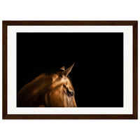 258f2ed6-79f0-4839-8d81-3a48eb6f54a2