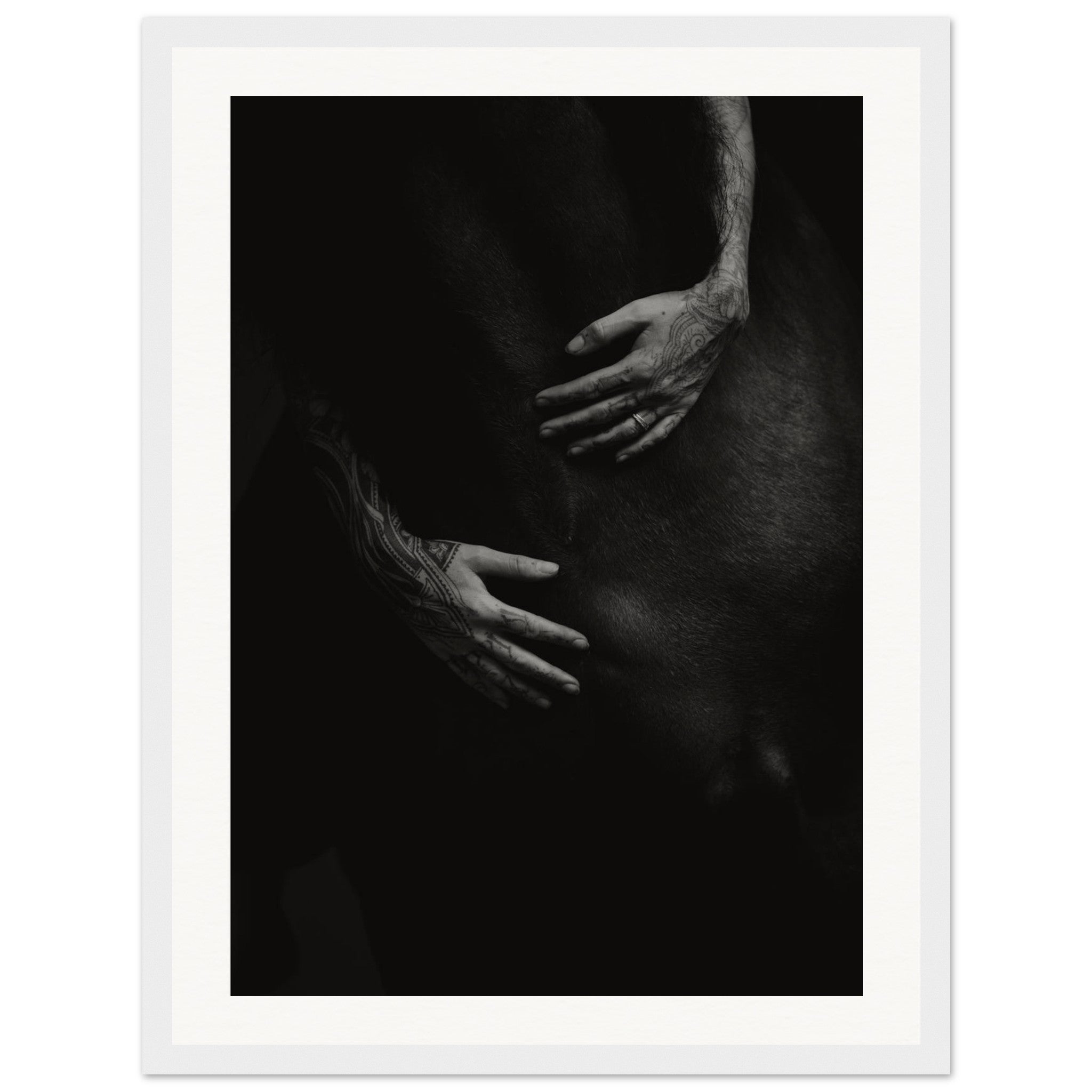 25a8d0a0-40f5-4e9c-a07a-733e3b1d8df8