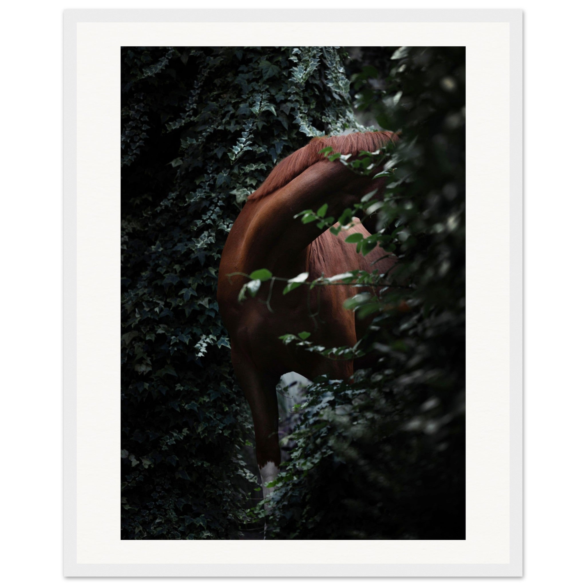 25afc78b-684b-439d-b31c-1919a95536b0