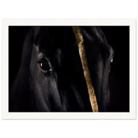 25bb5f40-1231-4033-8594-22fce84b8a44