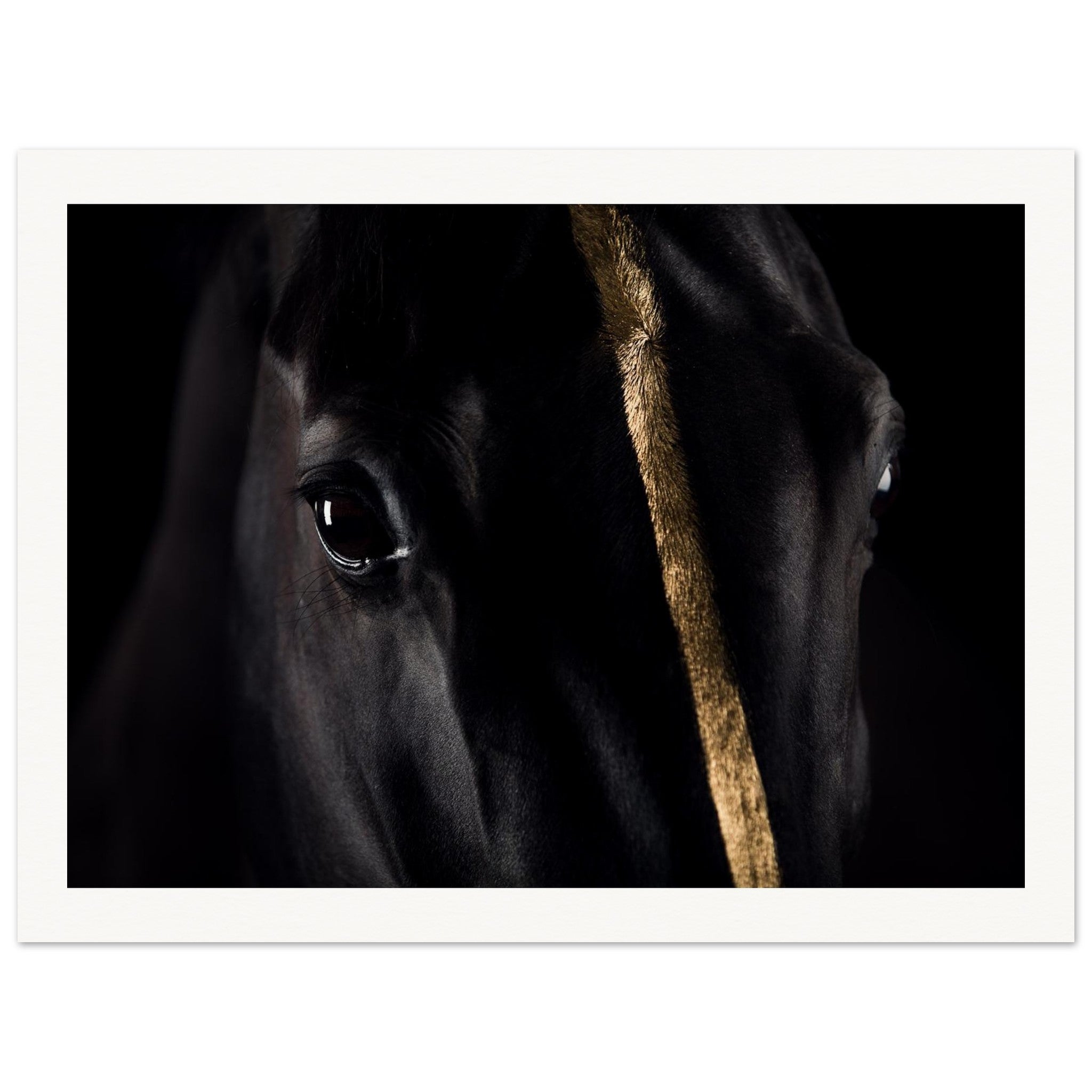 25bb5f40-1231-4033-8594-22fce84b8a44