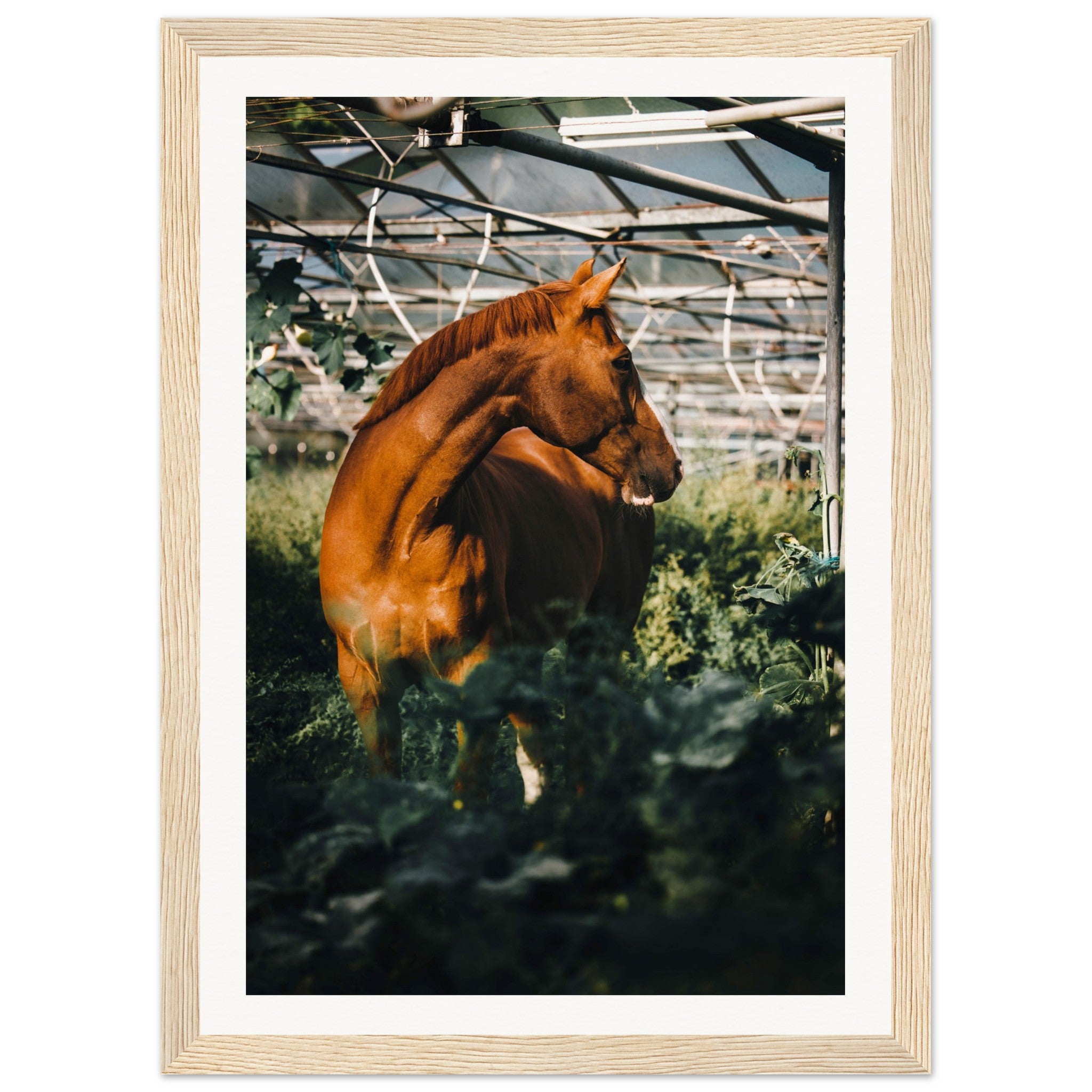 2633be12-5684-4bc0-be03-03a3192365d2