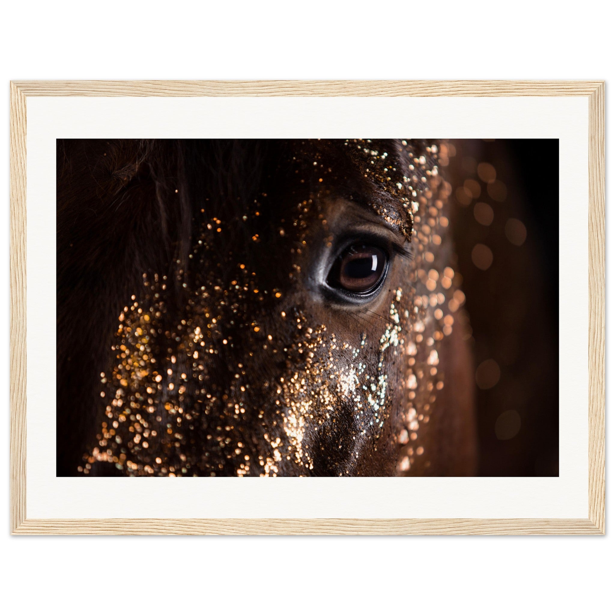 26537c9b-5372-483c-ae49-b042ae70d4a3