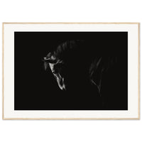 2658fe80-f24f-43c0-bac7-10e69444678a