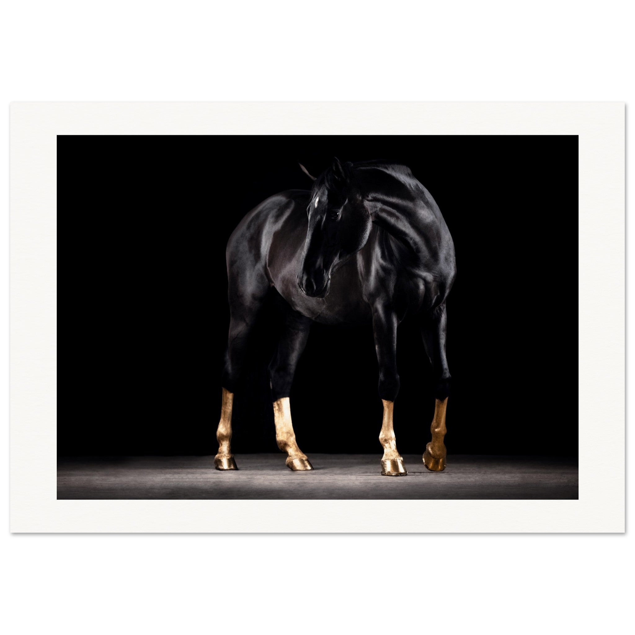 26692077-c5ff-4c84-a9db-144e4eb9c518