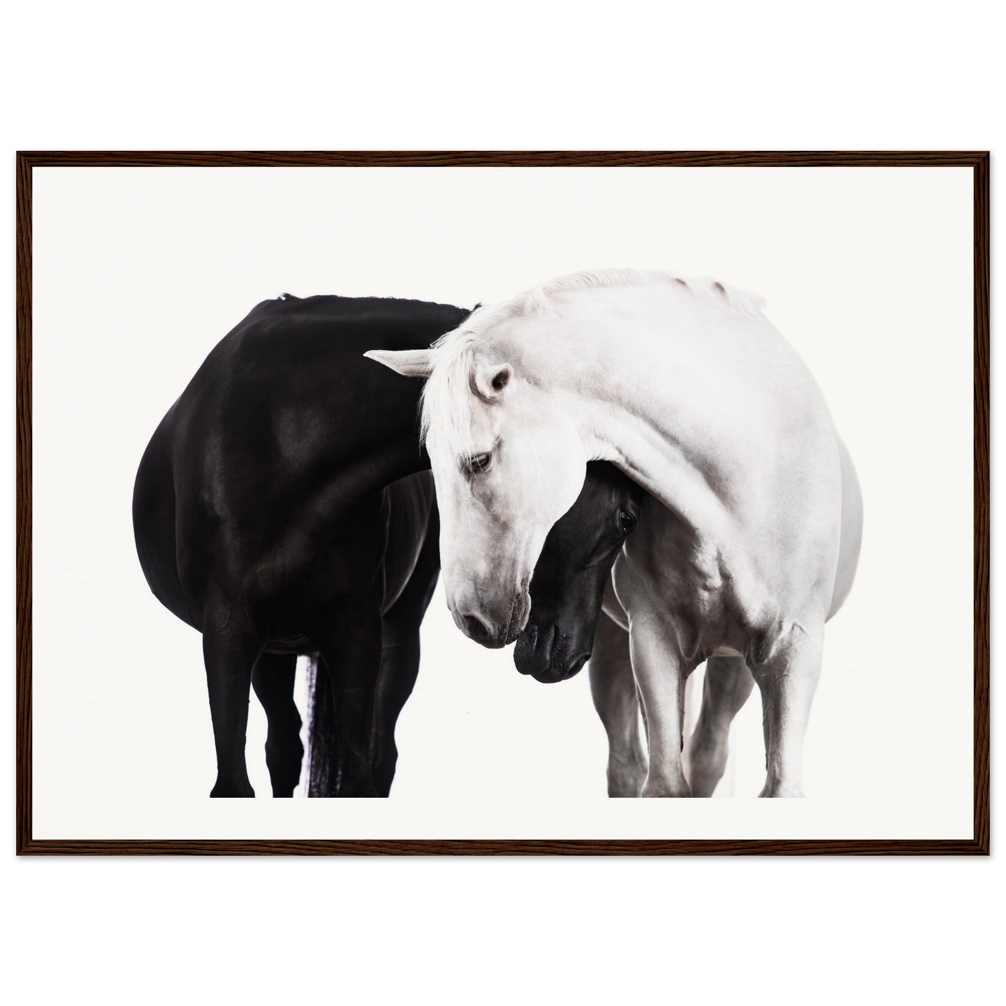 269b078d-cfb1-40f1-b983-95f260a6f557