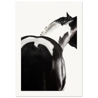 26b9af2a-f354-4e2d-9a80-9709d82d0fdb