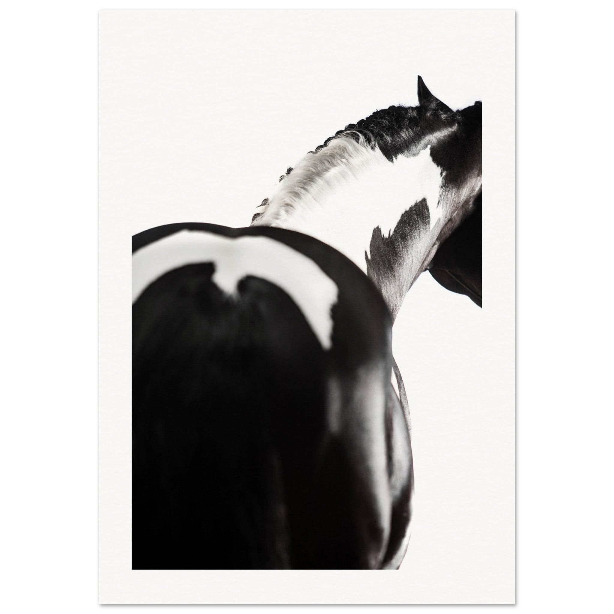 26b9af2a-f354-4e2d-9a80-9709d82d0fdb