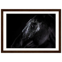 26cf87d5-23db-450d-997c-a831894cd810