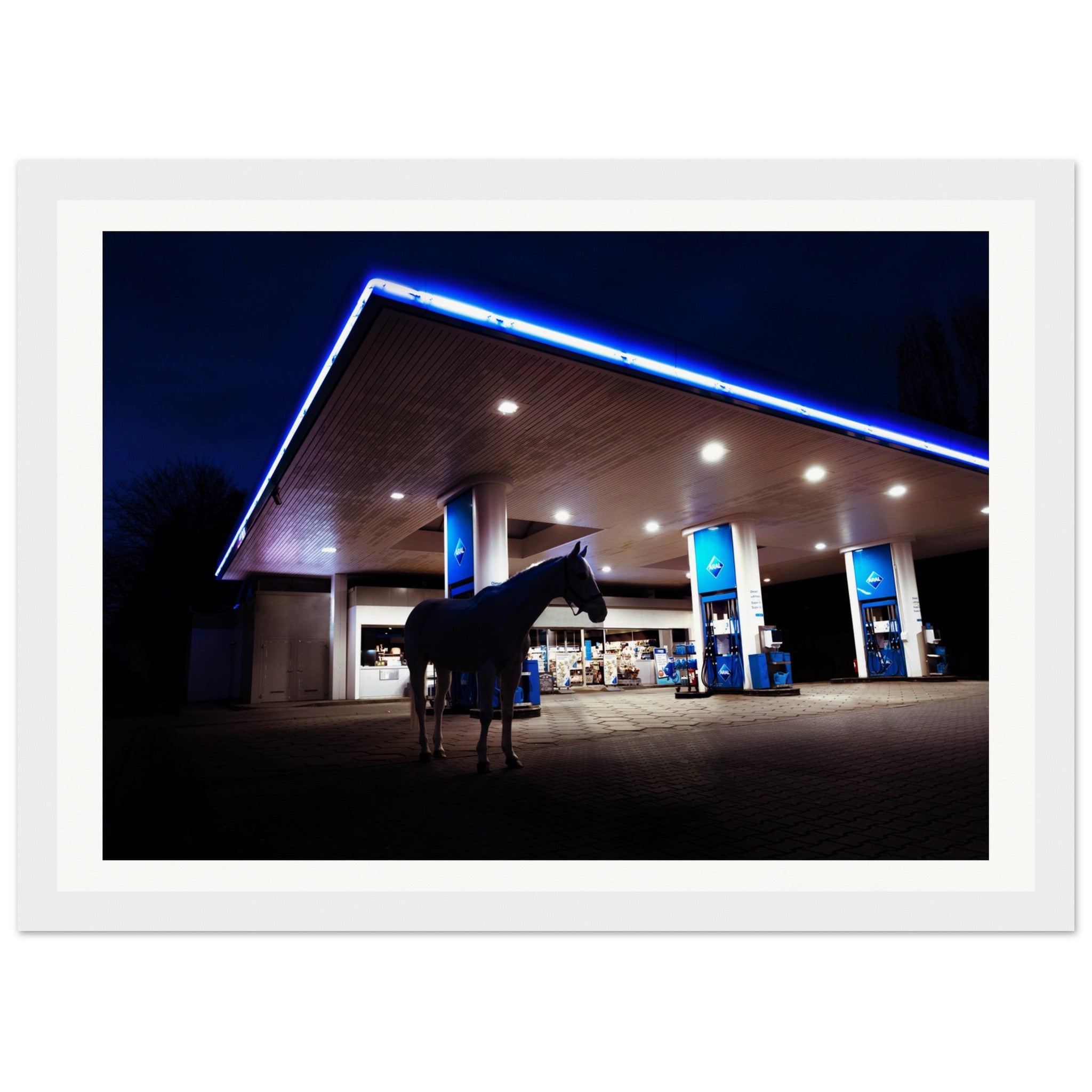 26ebab5f-603d-42c7-bd92-e64654d5046b