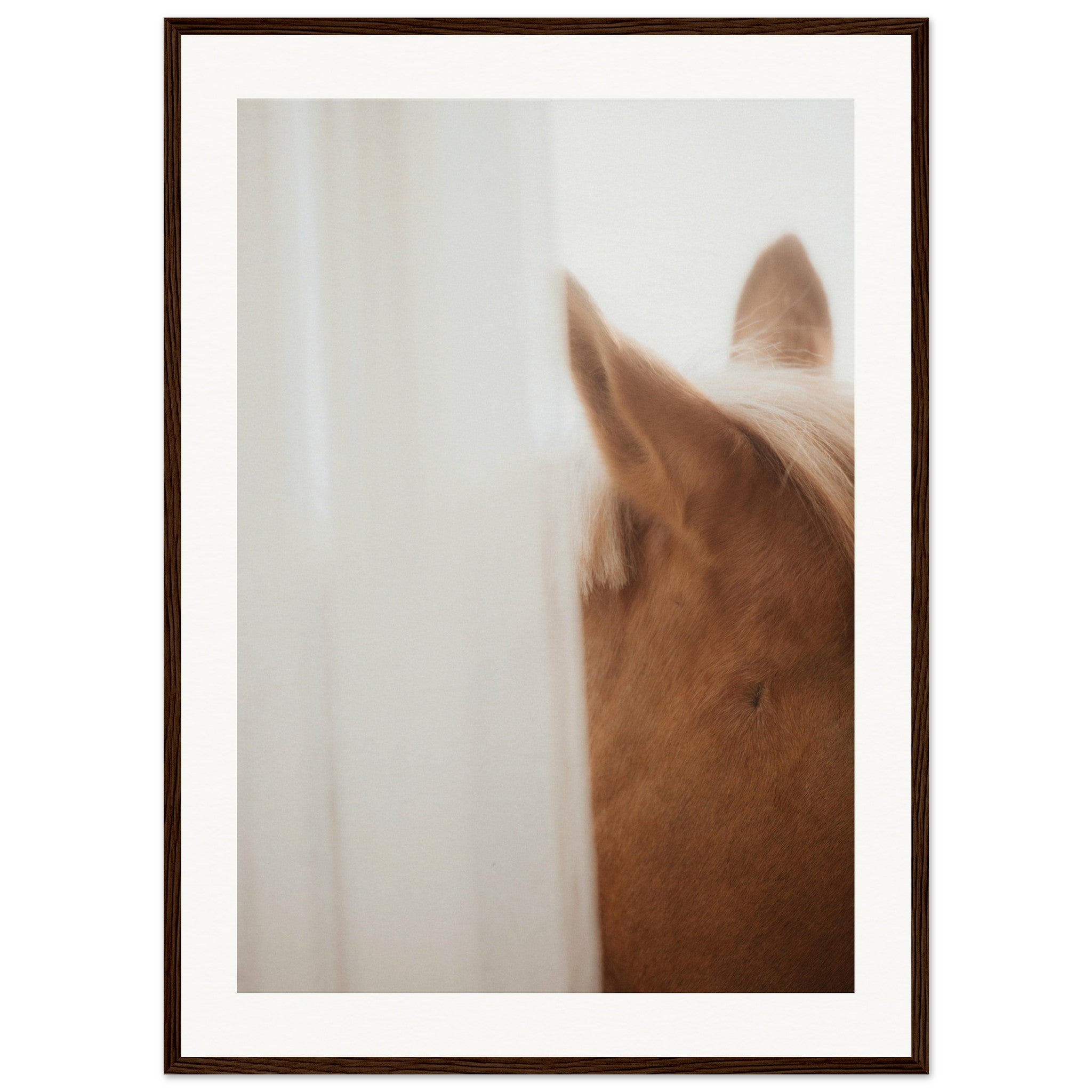 26ed13cb-8e6d-4c69-b4cc-a7c8342b2ed0