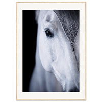 26f55b55-1719-49b8-abae-2331250b4280