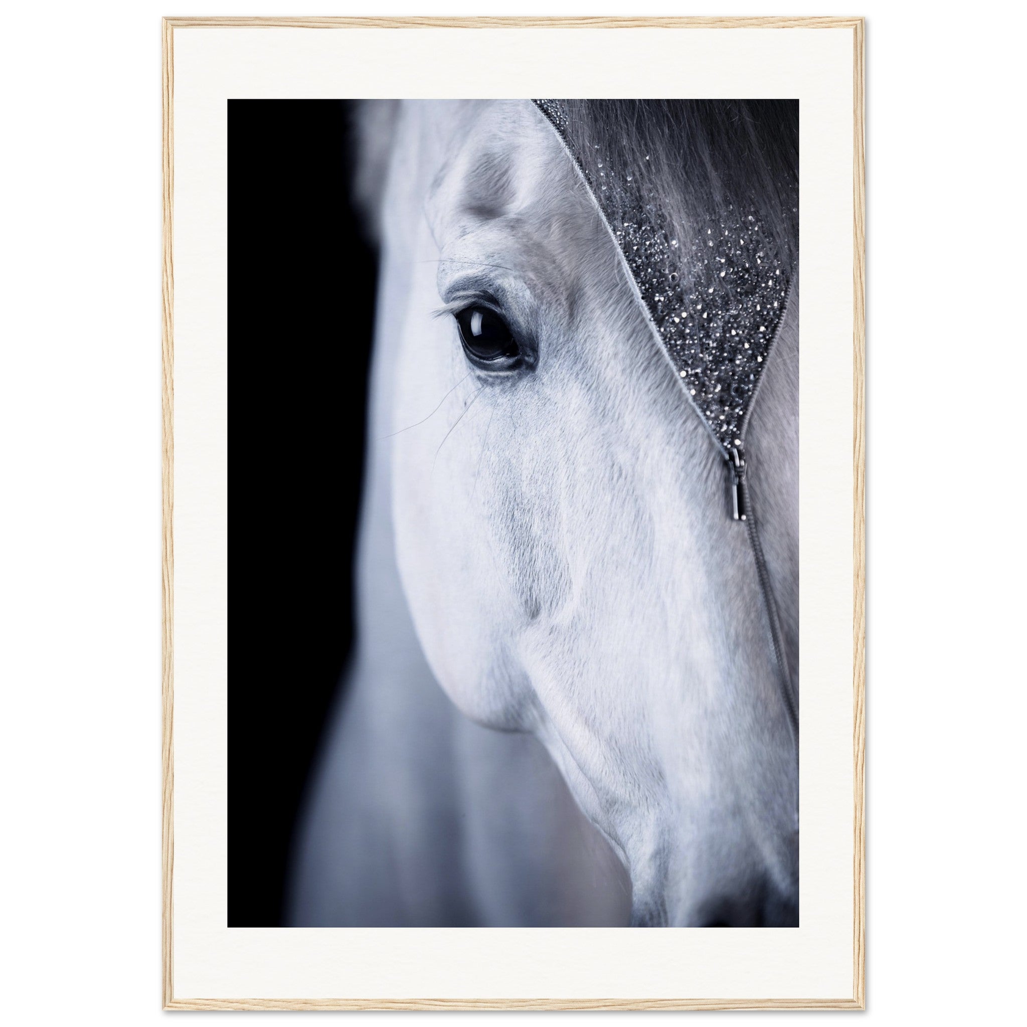 26f55b55-1719-49b8-abae-2331250b4280