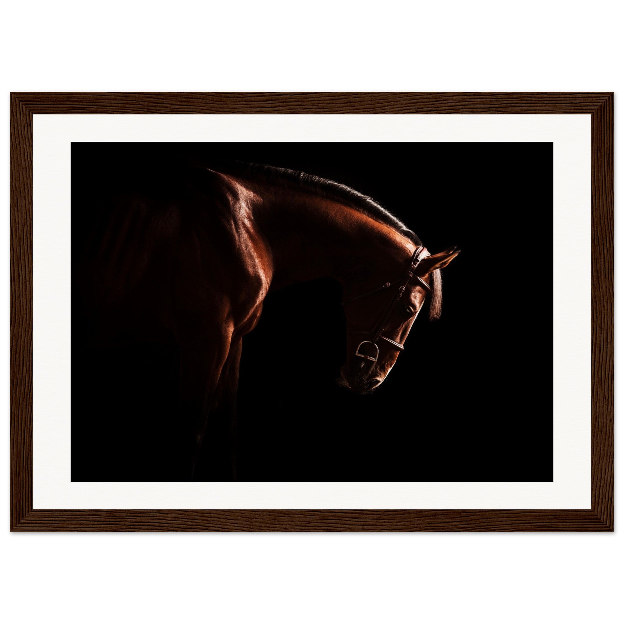 26f82ee9-157f-4a26-b100-ab7a250ae5f7