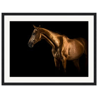 2739ab14-d43e-4bbb-9db6-57d06dfe5aef