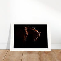 276aaa2c-74f6-483b-a3a1-2f105ea1b3c1