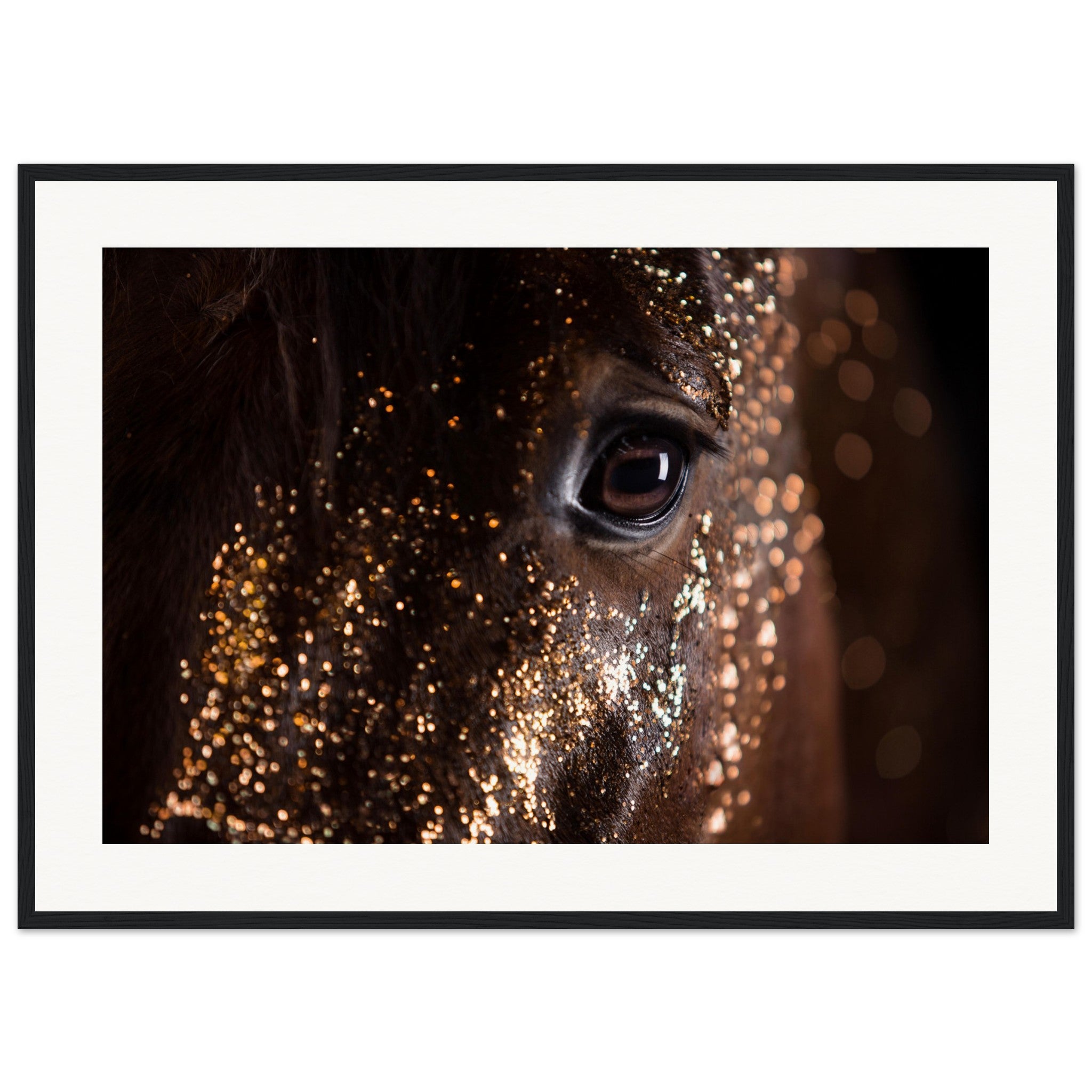 283a982b-513f-42dd-ae8c-3bd4c9946dd5