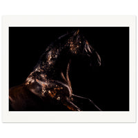 283c00f5-dfea-411a-be23-83cfcad5c213