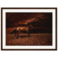 283dfc6e-868c-4466-a2b1-7fe678cd312c