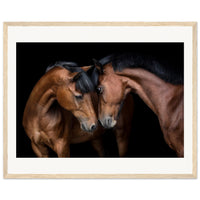 2843caa7-a13a-45bf-b327-2451bd16dc5a