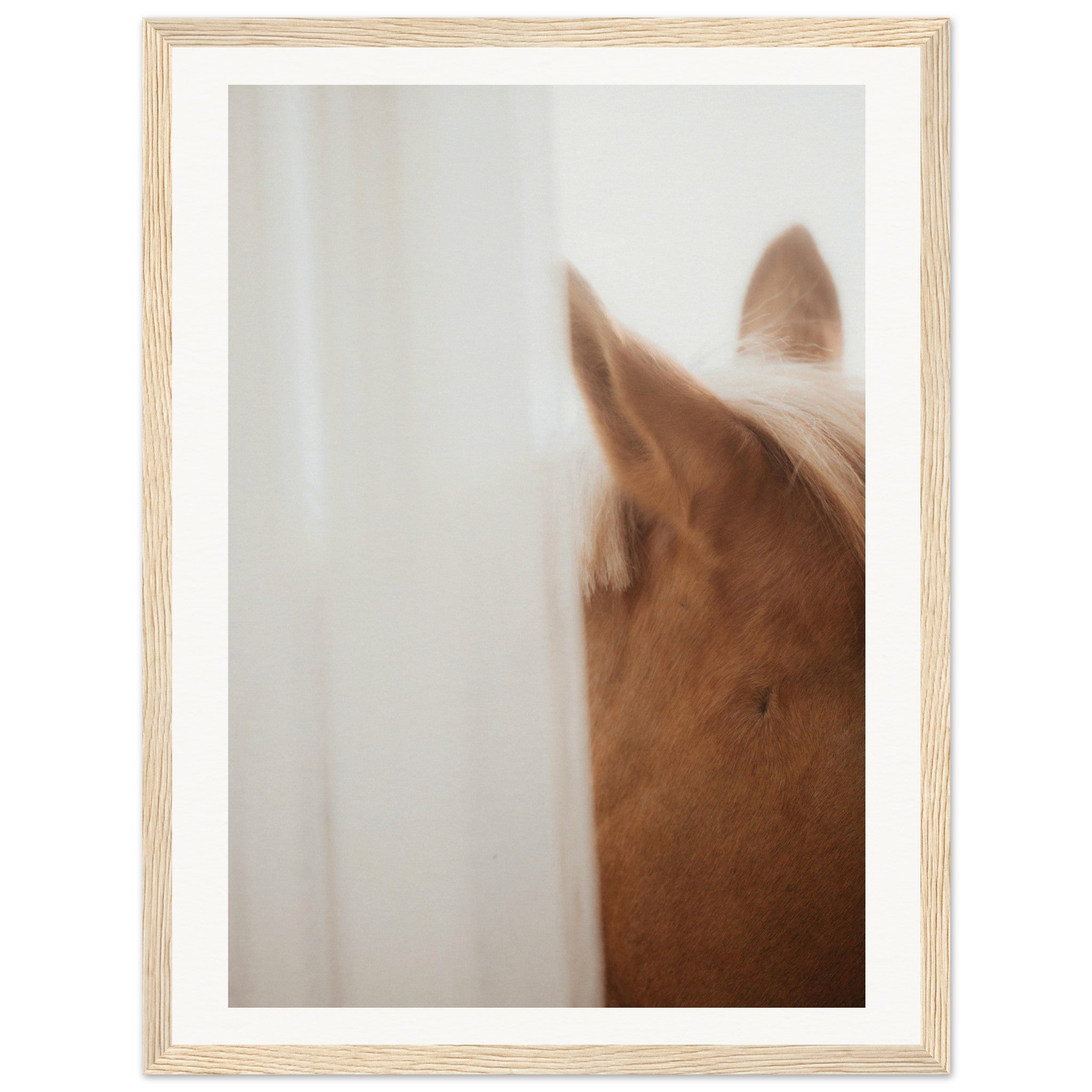 28537f7a-f782-417b-b411-a63e9f11683f