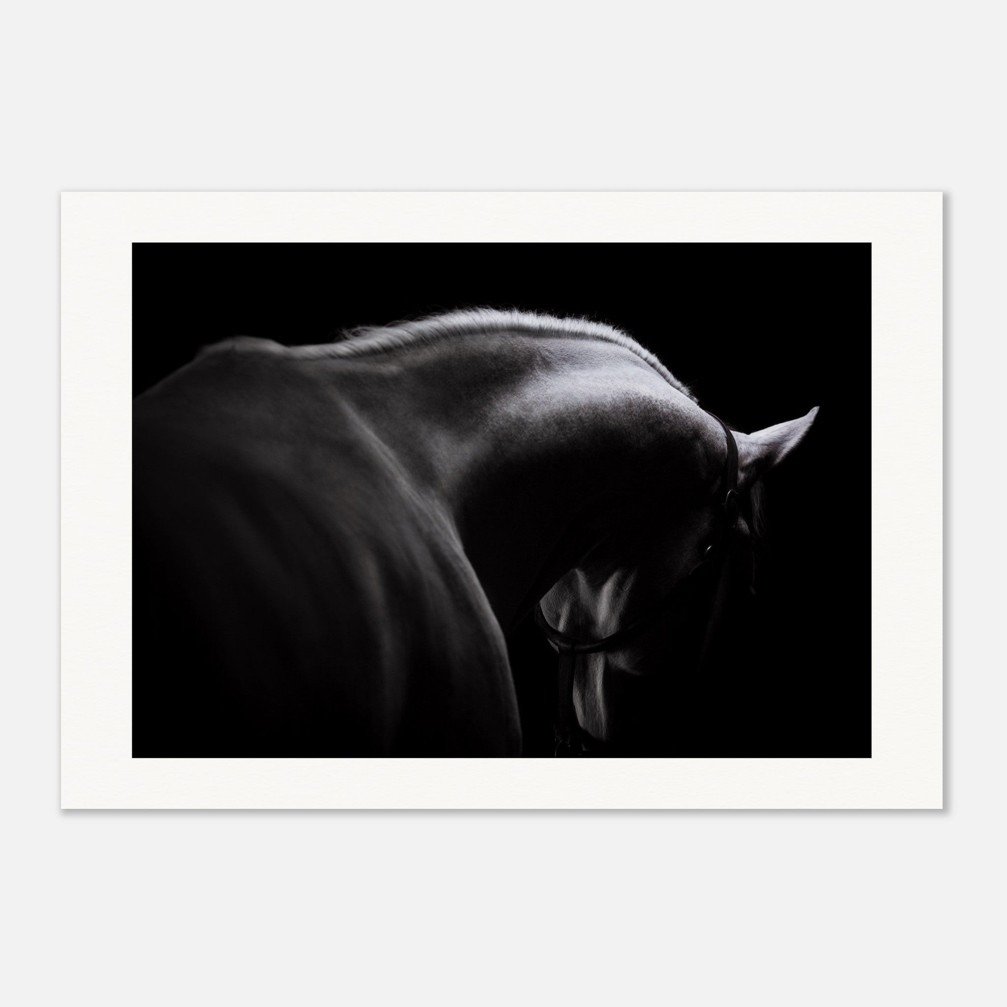 28544d13-cbd0-4afe-a82b-d19159e4b244