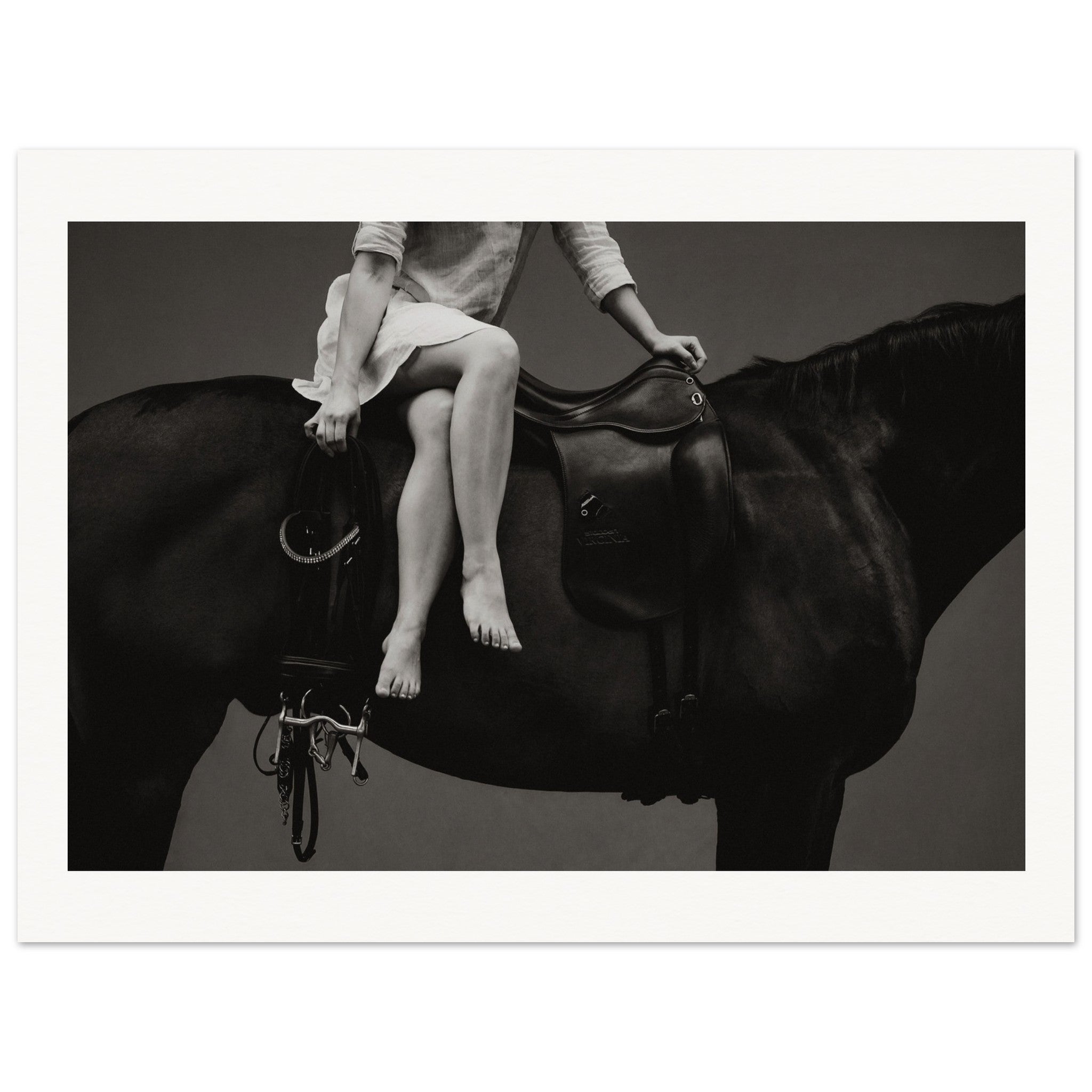 288e823f-7800-4539-aaf7-4c208007b498