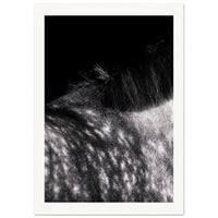 28c11d06-e4a6-4c5d-a39c-4300d3bacb58