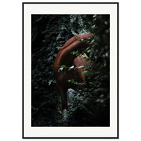 28d3e6ea-af1a-41b8-8a3f-2416e16d43d0