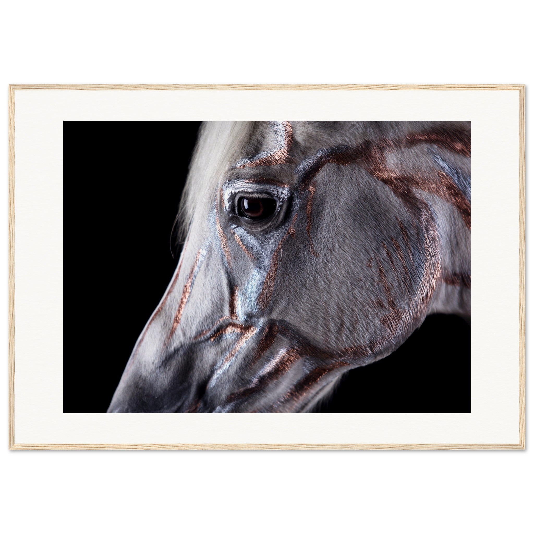 28fbac14-2ee3-4649-b6a5-12e540e376fb