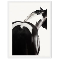 28fe1987-0b14-4880-98c3-cfa7b949eed4