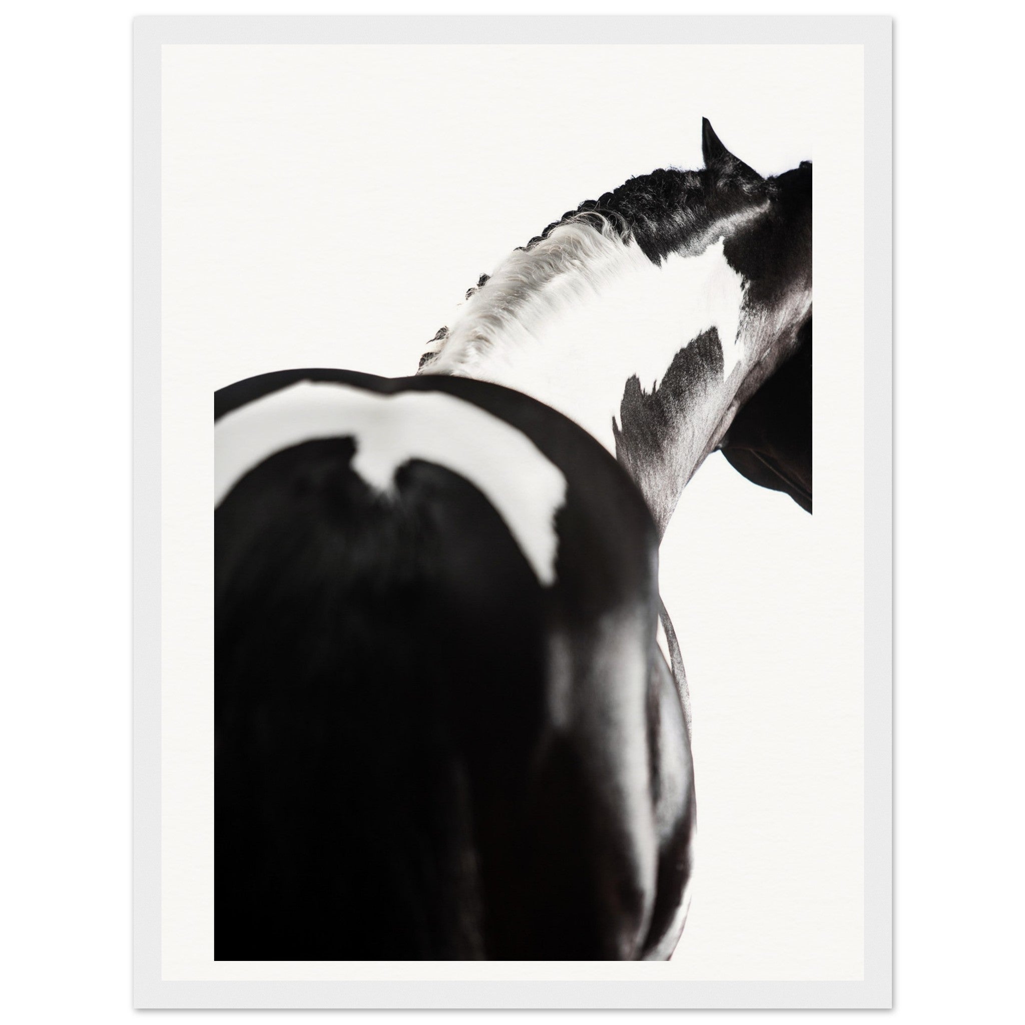 28fe1987-0b14-4880-98c3-cfa7b949eed4