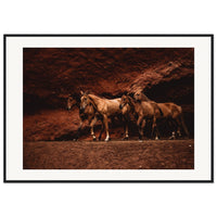 2918e9a3-1fec-432f-bf22-10d9de68b243